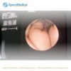 Olympus CF - P10S Sigmoidoscope - Image 14