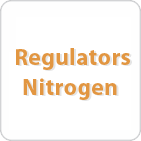 Orthopedic Power Tool Regulators - Nitrogen